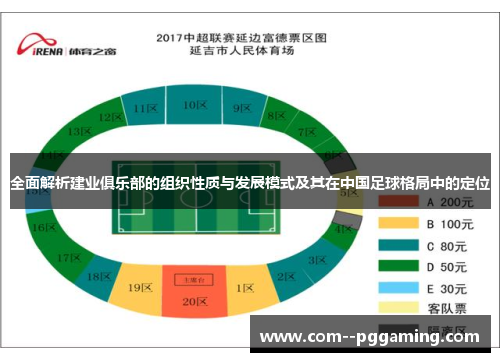 全面解析建业俱乐部的组织性质与发展模式及其在中国足球格局中的定位
