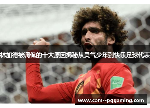 林加德被调侃的十大原因揭秘从灵气少年到快乐足球代表 林加德被调侃的十大原因揭秘从灵气少年到快乐足球代表