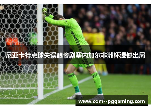 尼亚卡特点球失误酿惨剧塞内加尔非洲杯遗憾出局